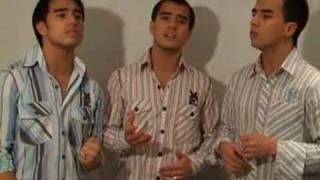 In The Still Of The Night Acapella Cover performed by 3nity Brothers [upl. by Yaja443]