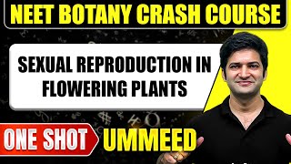 SEXUAL REPRODUCTION IN FLOWERING PLANTS in 1 Shot All Concepts Tricks amp PYQs  NEET Crash Course [upl. by Arihsaj40]