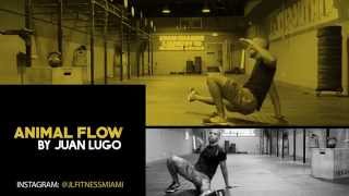 Animal Flow by Juan Lugo [upl. by Dutch]