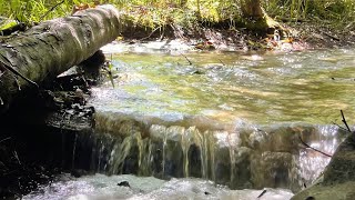 Relaxing forest ambience Calming waterfall Water sounds for added soothing effect [upl. by Novhaj]