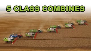 5 Combine Harvesters Working Together [upl. by Ahserb]