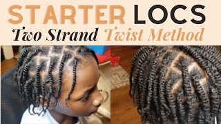 Starter Locs on Short Hair Two Strand Twist [upl. by Ahon934]