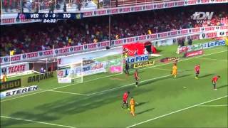 TIGRES UANL  APERTURA 2014  TODOS LOS GOLES [upl. by Domenico]