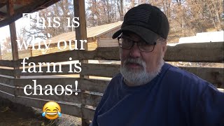 Lambing diaries It’s all his fault Vlog 545 [upl. by Otsuj]