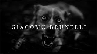 How To Do Animal Street Photography Like Giacomo Brunelli [upl. by Lorelei]