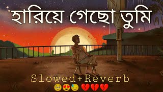 হারিয়ে গেছো তুমি Slowed  Reverb  Lofi Song  Bangla Song 2024 [upl. by Nytsuj]