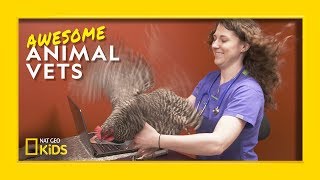 Try Not to Laugh  Awesome Animal Vets [upl. by Mirabelle916]