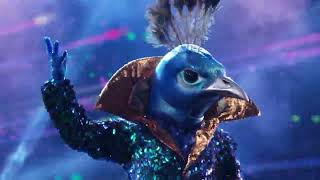 THE MASKED SINGER PEACOCK HIGHLIGHTS [upl. by Harve]