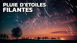 La pluie d’étoile filante la plus importante de l’année [upl. by Culliton75]