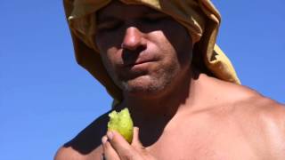 Survival How to eat barrel cactus fruit in the wild [upl. by Tloc379]