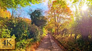 RELAXING AUTUMN DRIVE in the English Countryside 4K relaxing music for deep sleeping and studying [upl. by Taggart]