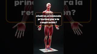 Te Atreves a Superar Este Quiz de Anatomía ¡Demuestra lo que Sabes del Cuerpo Humano [upl. by Greenland]