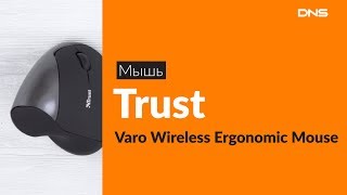 Распаковка мыши Trust Varo Wireless Ergonomic Mouse  Unboxing Trust Varo Wireless Ergonomic Mouse [upl. by Fennie352]