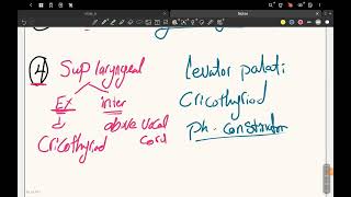 pharyngeal arches ampdevelopment of face [upl. by Eiramave]