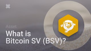 What is Bitcoin SV BSV [upl. by Inaj]