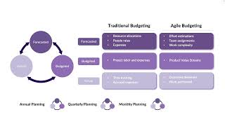 Portfolio Budgeting [upl. by Krauss]