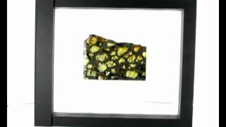 Pallasite meteorite for sale [upl. by Fritts]