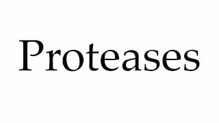 How to Pronounce Proteases [upl. by Esorbma930]