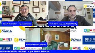 Conversando de Agricultura en RadioCamilaTV de LosAngelesCL [upl. by Alten]