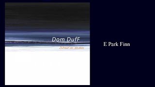 Dom DufF  E Park Finn Theme Park audio [upl. by Ecyar]