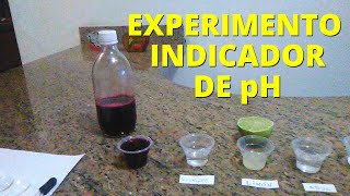 Experimento con indicador de pH betabel agua vinagre y limón [upl. by Ahsened12]