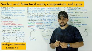 Introduction to nucleic acid and nucleotide  types of nucleotides [upl. by Intosh]