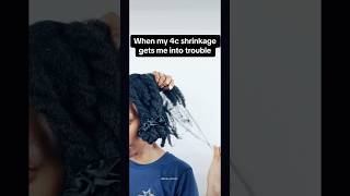 Keeping hair stretched to prevent breakage shrinkage 4chair naturalhair haircare [upl. by Alehcim]