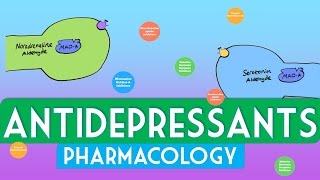 Antidepressants Pharmacology  Soton Brain Hub [upl. by Rossner522]