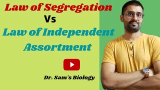 Difference between Law of Segregation and Law of Independent Assortment [upl. by Fayina]