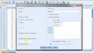 SPSS Grouped frequency table [upl. by Roon]