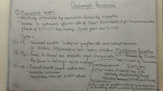 Muscarinic and nicotinic receptors [upl. by Attegroeg]