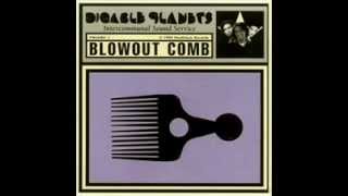 Digable Planets Blowing Down [upl. by Reena]