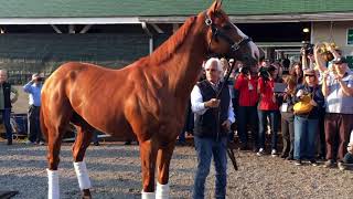 Justify Triple Crown [upl. by Gherlein]