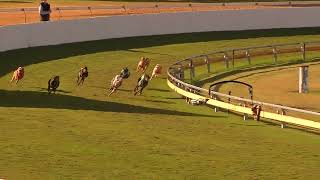 Bundaberg22072024Race11 [upl. by Benji]