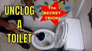 HOW TO UNCLOG A TOILET with a PLUNGER How to Use a Plunger Like a Champ [upl. by Rabush621]