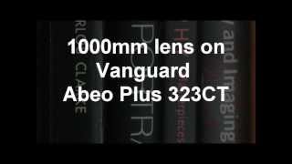 Stability test for Vanguard Abeo Plus 323CT Tripod [upl. by Rhea]