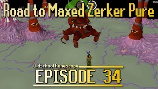 OSRS Road To Maxed Zerker Pure  Episode 34  ALMOST MAXED [upl. by Juanne]