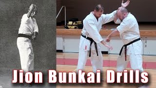 Practical Kata Bunkai Jion Bunkai and Drills [upl. by Ys990]