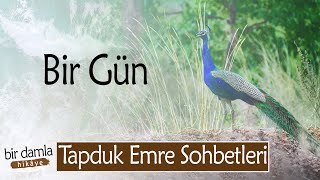 Öğreneceksin Yüreğim Öğreneceksin  quotBİR GÜNquot  Tapduk Emre Kıssaları [upl. by Haeckel]