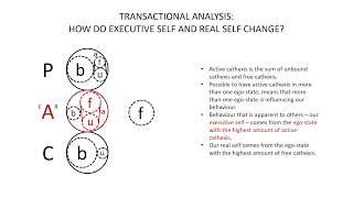 Transactional Analysis Executive Self and Real Self [upl. by Neyrb536]