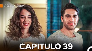 Alas de Amor Capitulo 39 Doblado En Español [upl. by Karalee720]