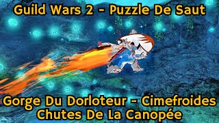 GUILD WARS 2  TUTO  PUZZLE DE SAUT  GORGE DU DORLOTEUR [upl. by Olivann724]