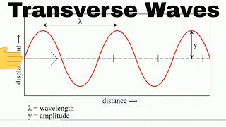 Anatomy of a Transverse Wave [upl. by Thrasher]