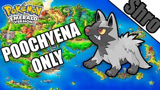 Can You Beat Pokemon Emerald With Only a Poochyena  Pokemon Challenge [upl. by Aynek]