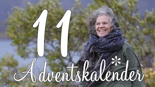 Der Anthroposophische Adventskalender Türchen 11 [upl. by Norri306]