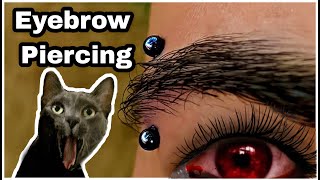 🔴PIERCING NA SOBRANCELHA eyebrow piercing  COMO APLICAR DE FORMA SEGURA🔴 [upl. by Clower]