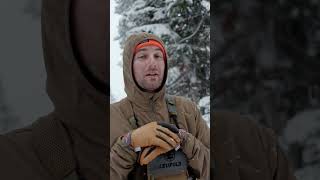 Arborist In Awe of High Alpine Spruce Trees on Elk Hunt [upl. by Waring]