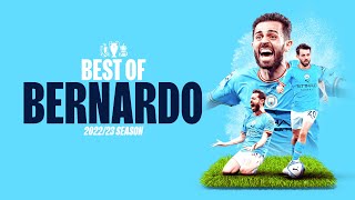 BERNARDO VOLLEY  MAN CITY HIGHLIGHTS  Aston Villa 12 City  Dias Bernardo Silva amp Watkins Goals [upl. by Linette]