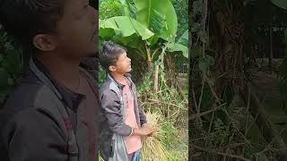 😂🤣foryou comedy comedyfilms funny viralvideo [upl. by Enneirdna490]