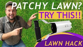 Lawn HACK Fix a PatchyBare Lawn in Minutes [upl. by Prosser814]